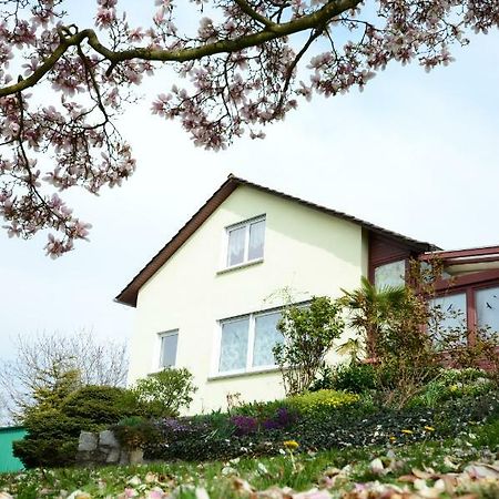 Ferienwohnung Rheinblick Bad Bellingen Eksteriør bilde