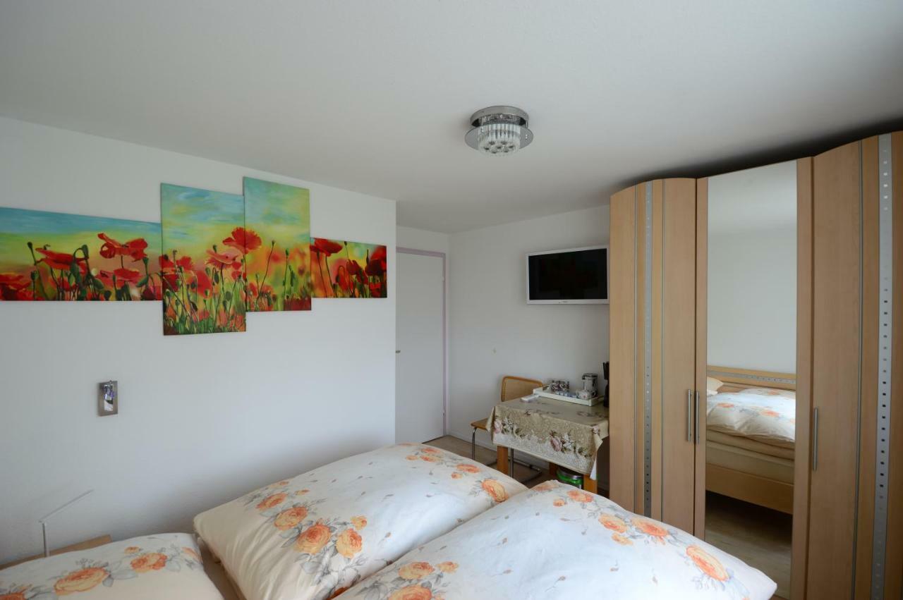 Ferienwohnung Rheinblick Bad Bellingen Eksteriør bilde
