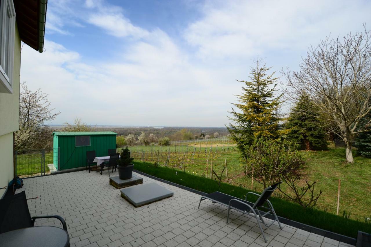 Ferienwohnung Rheinblick Bad Bellingen Eksteriør bilde